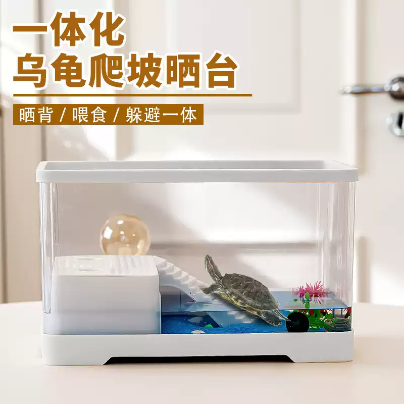 龟类疾病概述