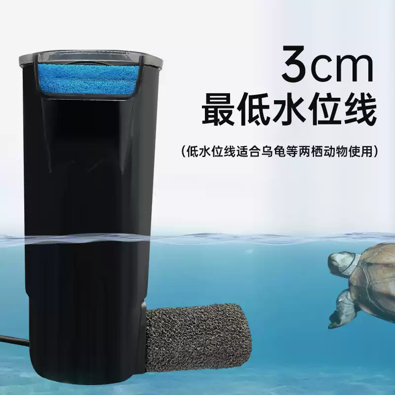 腐皮病