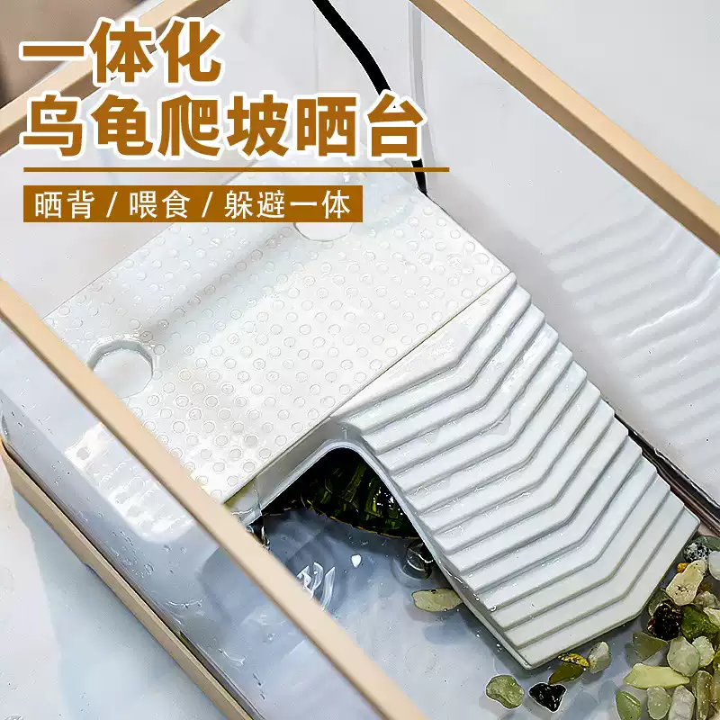 冬眠的生理变化