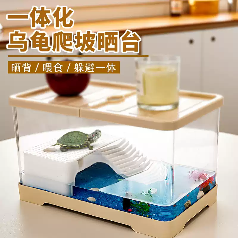 冬眠的风险与安全条件